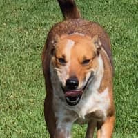 Photo of Splash