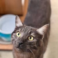 Photo of Owen