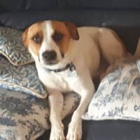 Photo of Jackson Moriarty