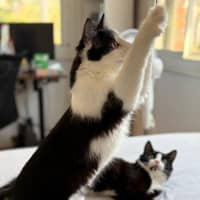 Photo of Felix & Rosie