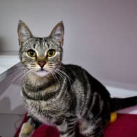 Photo of Kiya