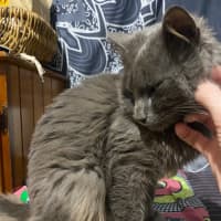 Photo of Morris 💙