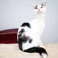 Photo of Luna