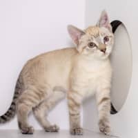 Photo of Cindy