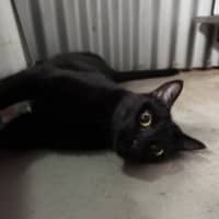 Photo of Taco
