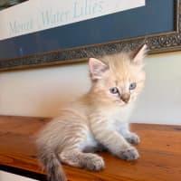 Photo of Bob