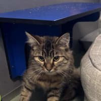 Photo of Gina