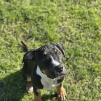 Photo of 🧭 Freddie 6359 🧭