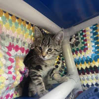 Photo of Mr. Wiggle