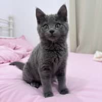 Photo of Ella Bleu