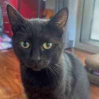 Photo of Bellatrix 