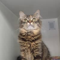 Photo of Poppi