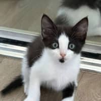 Photo of Momi 