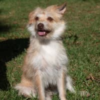Photo of Buster Bulleau