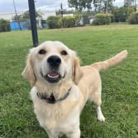 Photo of Bentley
