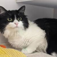 Photo of Marceline