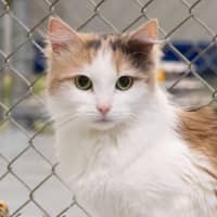 Photo of Ruth Russelton