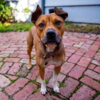 Photo of Chloe Haliwell