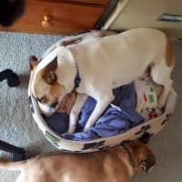 Photo of Jackson Moriarty