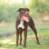 Photo of Molly