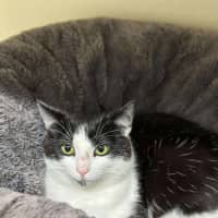 Photo of 🧶 Luca 6596 🧶