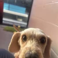 Photo of Wanda