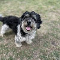 Photo of Libby & Jack