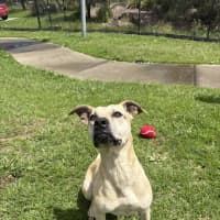 Photo of Delilah 