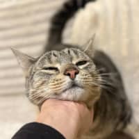 Photo of Milo