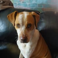 Photo of Bradley