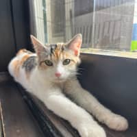 Photo of Paquita (Keeta)