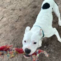 Photo of Sheila