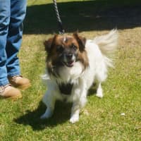 Photo of Bodie