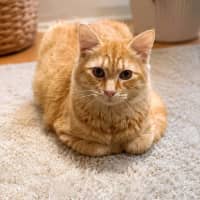 Photo of Ragnar