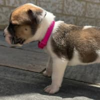 Photo of Tiny