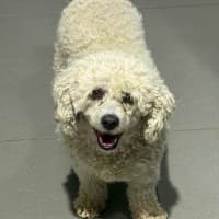 Photo of Mia