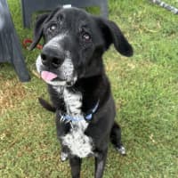 Photo of Turbo
