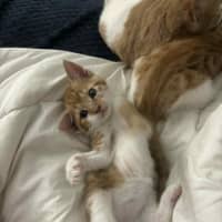 Photo of Elodie & Etienne