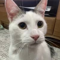 Photo of Wilson 🤍