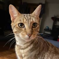 Photo of Narla