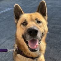 Photo of Theodore