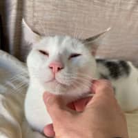 Photo of Wilson 🤍