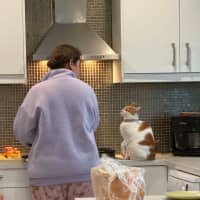 Photo of Miss Cashew Nutz