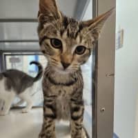 Photo of Stormy