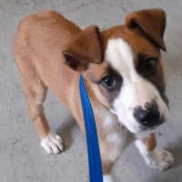 Photo of Rogue (Tuff)