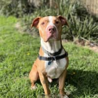 Photo of Wally