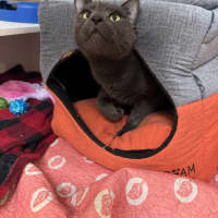 Photo of Kuro