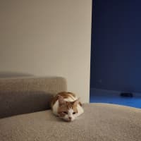Photo of Isla