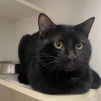 Photo of Taco