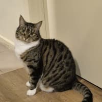 Photo of Luna